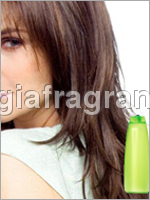 Shampoo Fragrances