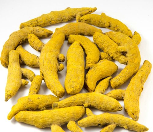 Dry Turmeric Finger