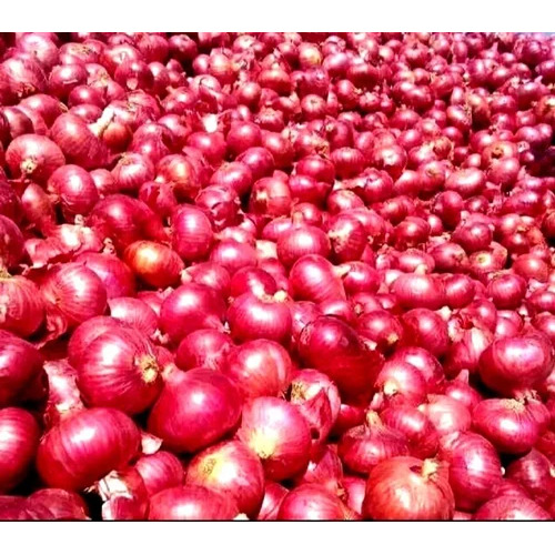 Export Quality Red Onion