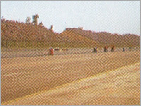 Sports Fields Geotextile