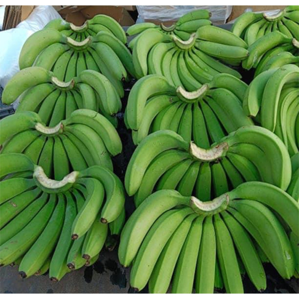 Green Bananas