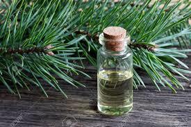 Pine Essential Oil