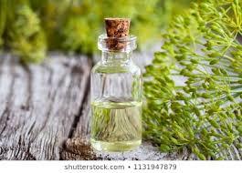 Dilseed Essential Oil