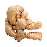 100% Natural Fresh Ginger