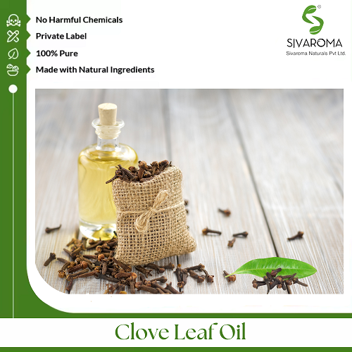 Clove Leaf Oil