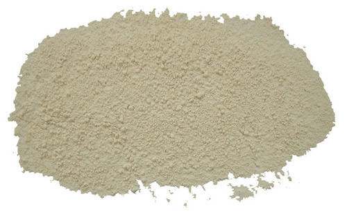 Dehydrated Garlic Vegetable Powder