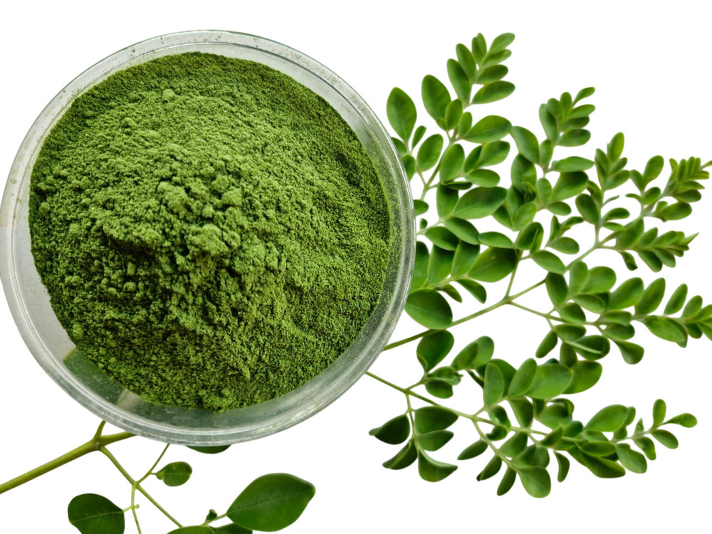 Dehydrated Muringha Powder