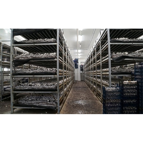 Mushroom Growing Chamber