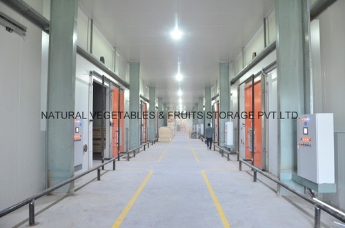Controlled Atmosphere Cold Storage System
