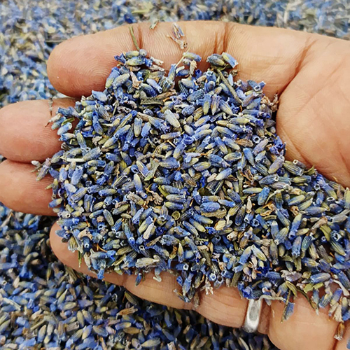 Natural Lavender Buds