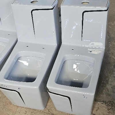 Western One Piece Toilet Sheet