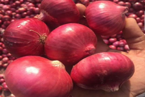 red onion