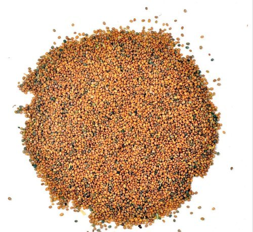 Taramira Seed