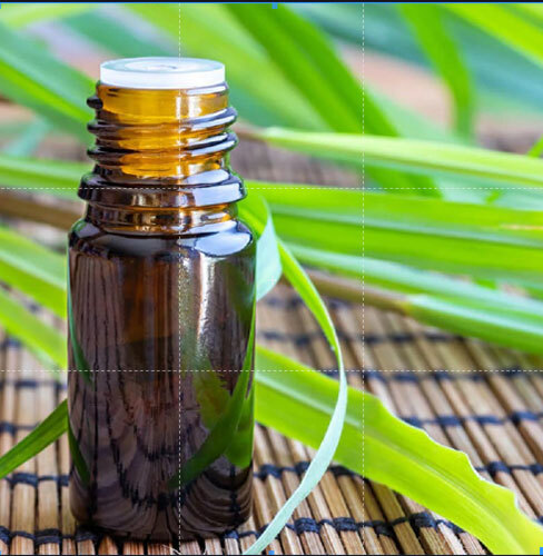 Citronella Oil