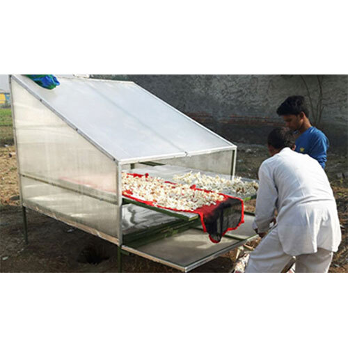 Solar Box Type Dryer