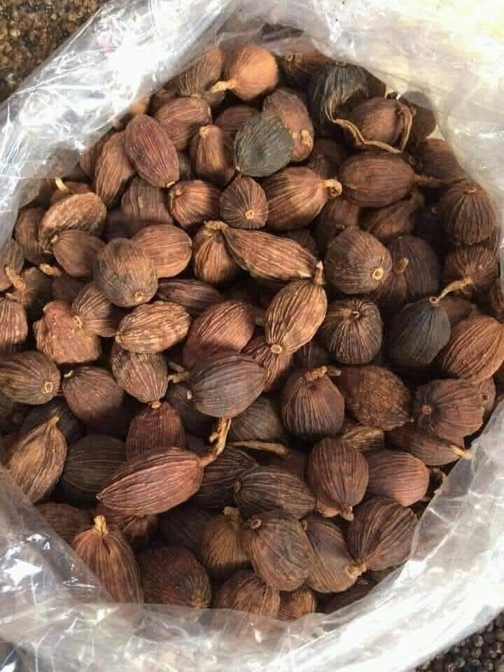 Black Cardamom (Badi Elaichi)