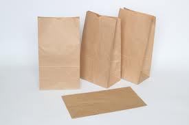  Plain Paper Bag