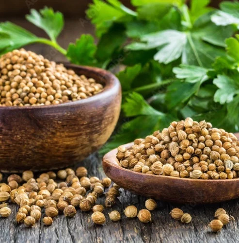 Organic Coriander Seed