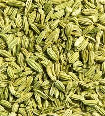 Fresh Fennel Seeds