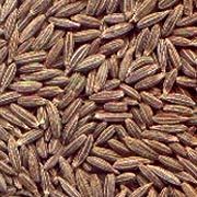 Cumin Seeds