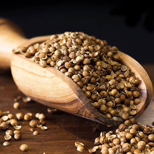 Coriander Seeds