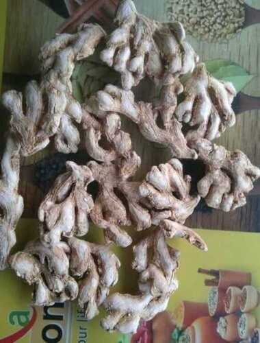 Dried Natural Dry Ginger with 6 Months of Shelf Life