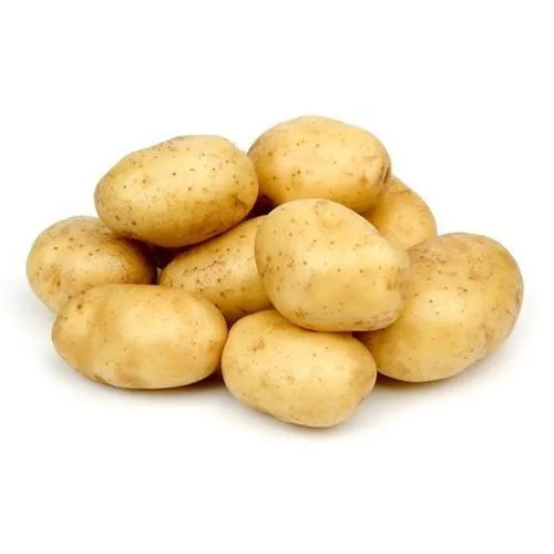 100% Organic A Grade Farm Fresh Potato