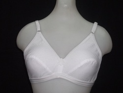 White White Bra