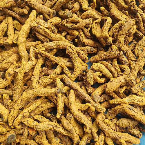 Salem Turmeric Finger