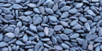 High Quality Black Sesame Seeds