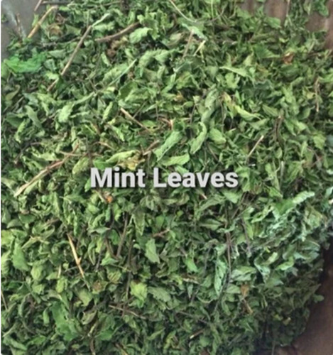 A Grade 100% Pure Dry Mint Leaves