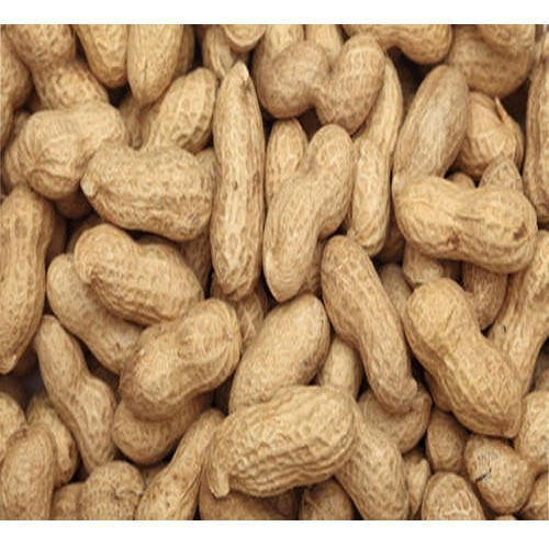 Organic Raw Peanuts