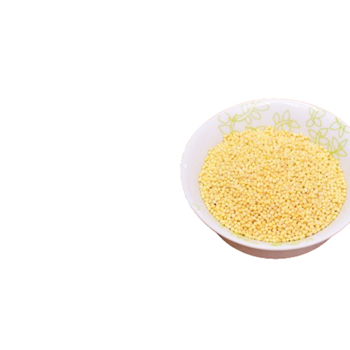 Foxtail Millet