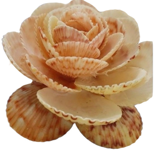 Sea Shell Decorative Flowers