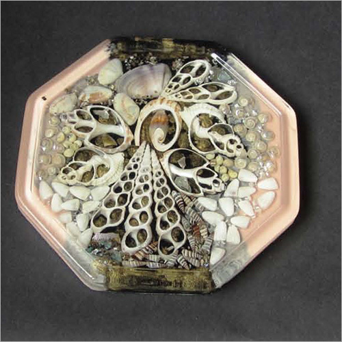 Modern Seashell Serving Plate