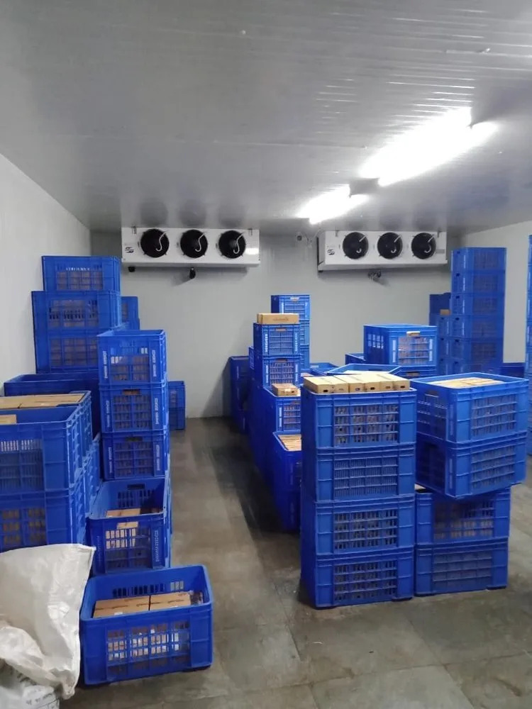 1 T 5000 T Cold Storage Ice Cream - Application: Food Industry