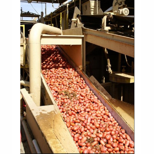 Flat Food Belts Conveyor