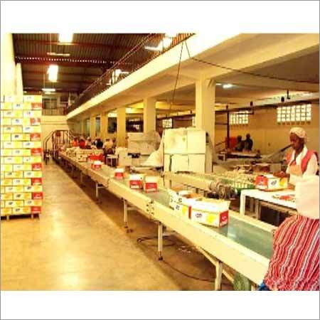 Aluminium Belts Conveyor For Food Packaging