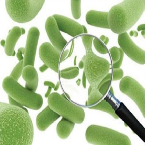 Bacillus Clausii-Probiotic Subtilis Keep At Cool And Dry Place