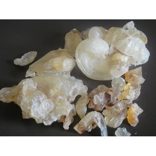 Gum Tragacanth - Food Grade, 99.9% Purity, Ash 13.0% Max, Moisture 10% | Moisture Proof Packaging, H