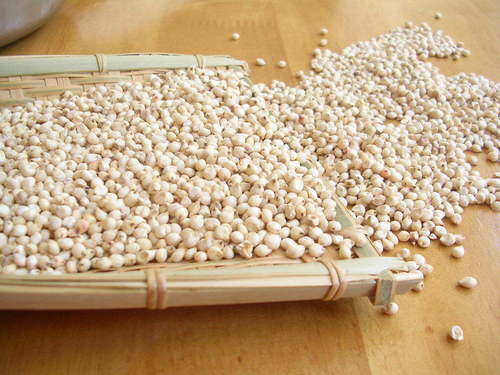 Sorghum Meal