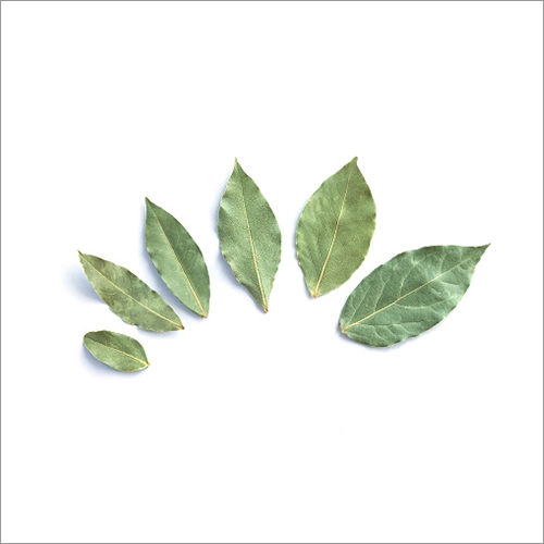 Indian Bay Leaves - Natural Herbal Supplement , Rich in Vitamin A, C, Iron, Potassium, Calcium, and 
