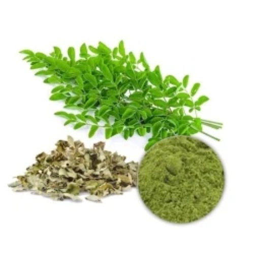 Moringa Extract - Herbal Powder, Light to Mid Green Color | Herbal Extract, 5 Year Shelf Life, Recom
