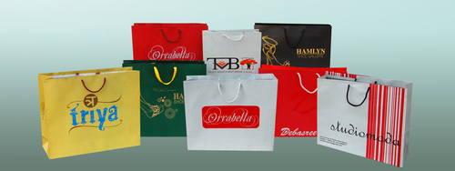 Duplex Board Paper Bags - Gloss Laminated Finish | Versatile Use for Garments and Shopping Needs