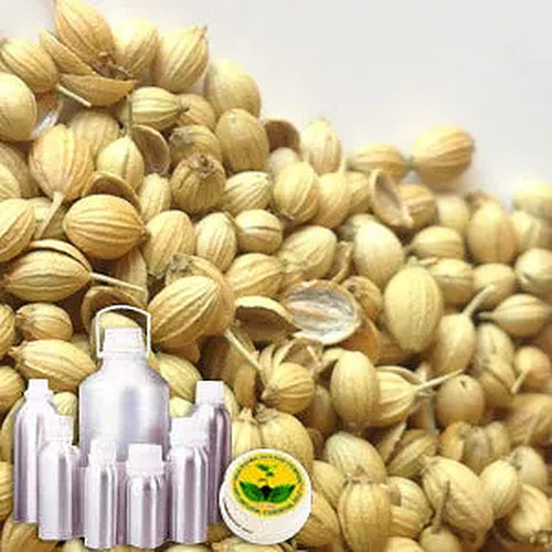 Coriander Therapeutic Grade Oil Cas No: 8008-52-4