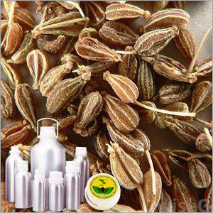Aniseed Oil Cas No: 8007-70-3