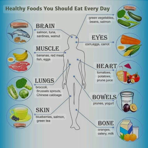 Sharirik Shanti Implementation Work Projects
