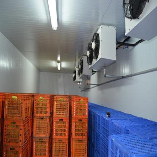 Fruits Ripening Chamber - Premium Insulated Design | Efficient Temperature Control, Humidity Regulat
