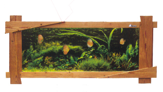 Wall Aquariums