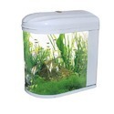 Glass Aquarium - High Clarity Glass , Durable Design for Freshwater and Saltwater Environments